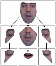 face hierarchy